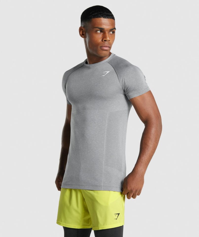 Koszulki Gymshark Vital Light Seamless Męskie Szare | PL 895KNY